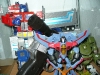 Collection_Shelf_01